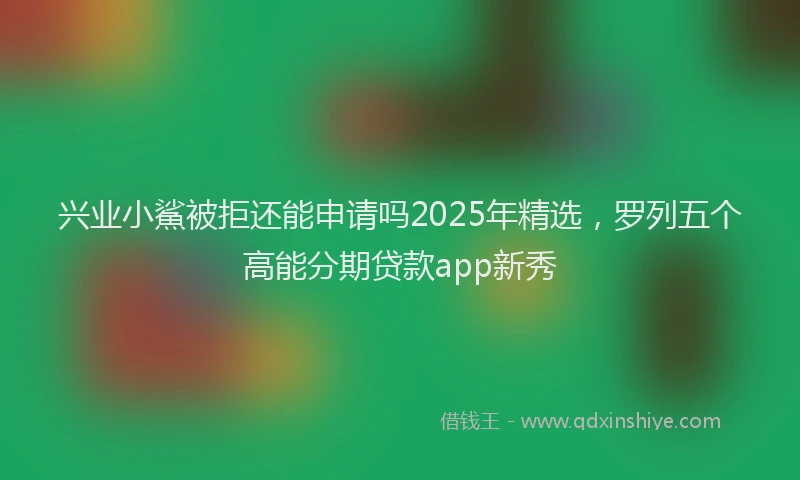 兴业小鯊被拒还能申请吗2025年精选，罗列五个高能分期贷款app新秀