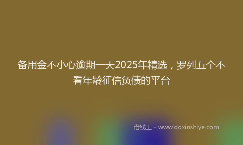 备用金不小心逾期一天2025年精选，罗列五个不看年龄征信负债的平台