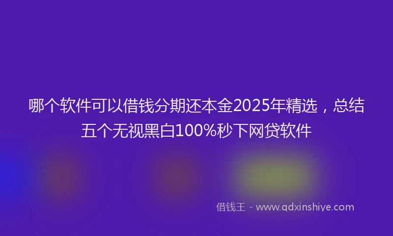 哪个软件可以借钱分期还本金2025年精选，总结五个无视黑白100%秒下网贷软件