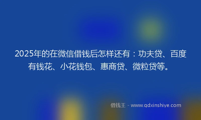 2025年的在微信借钱后怎样还有：功夫贷、百度有钱花、小花钱包、惠商贷、微粒贷等。