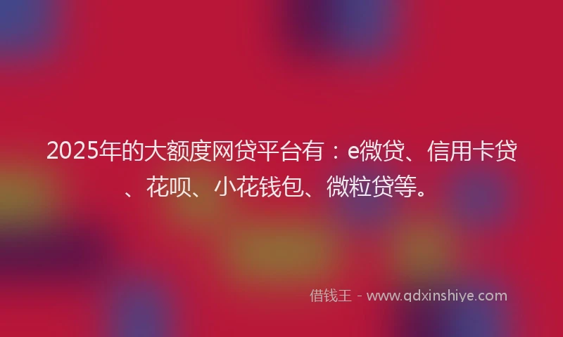 2025年的大额度网贷平台有：e微贷、信用卡贷、花呗、小花钱包、微粒贷等。