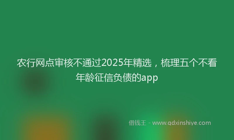 农行网点审核不通过2025年精选，梳理五个不看年龄征信负债的app