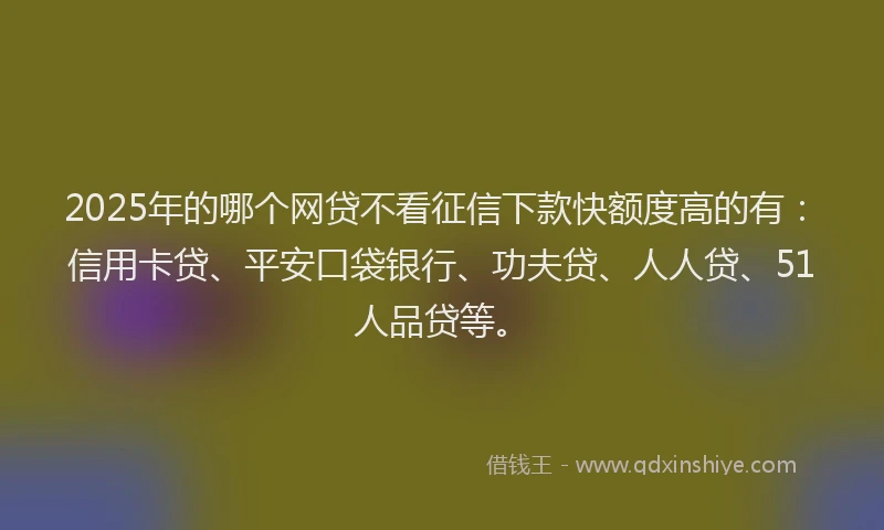 2025年的哪个网贷不看征信下款快额度高的有：信用卡贷、平安口袋银行、功夫贷、人人贷、51人品贷等。