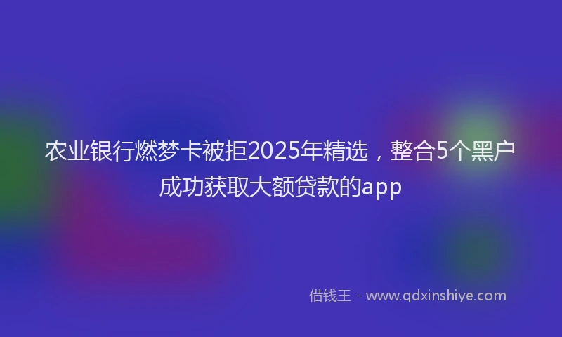农业银行燃梦卡被拒2025年精选，整合5个黑户成功获取大额贷款的app