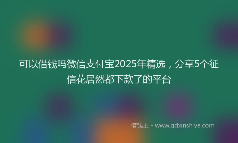 可以借钱吗微信支付宝2025年精选，分享5个征信花居然都下款了的平台