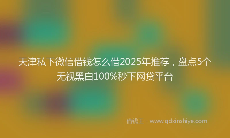 天津私下微信借钱怎么借2025年推荐，盘点5个无视黑白100%秒下网贷平台
