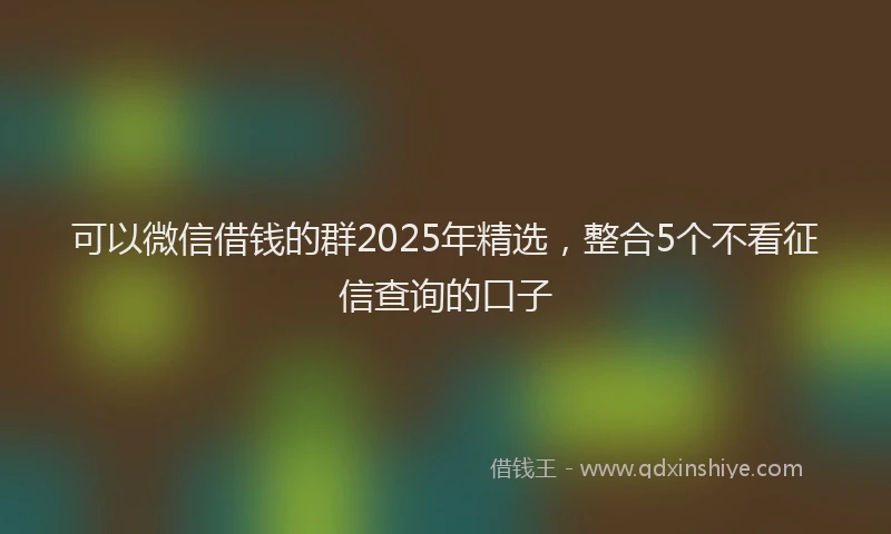 可以微信借钱的群2025年精选，整合5个不看征信查询的口子