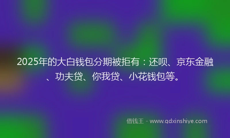 2025年的大白钱包分期被拒有：还呗、京东金融、功夫贷、你我贷、小花钱包等。