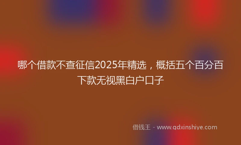 哪个借款不查征信2025年精选，概括五个百分百下款无视黑白户口子