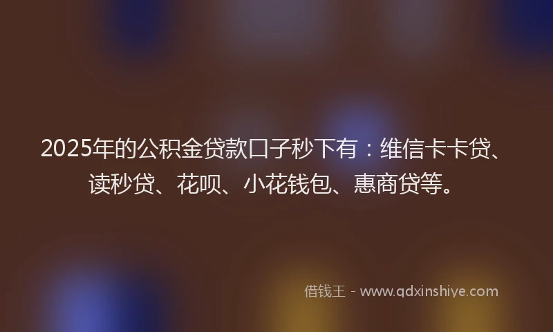 2025年的公积金贷款口子秒下有：维信卡卡贷、读秒贷、花呗、小花钱包、惠商贷等。