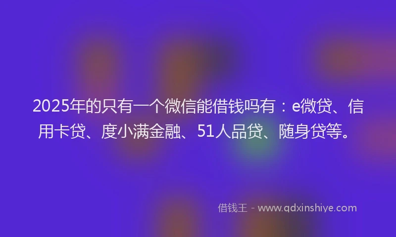 2025年的只有一个微信能借钱吗有：e微贷、信用卡贷、度小满金融、51人品贷、随身贷等。