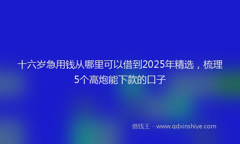 十六岁急用钱从哪里可以借到2025年精选，梳理5个高炮能下款的口子