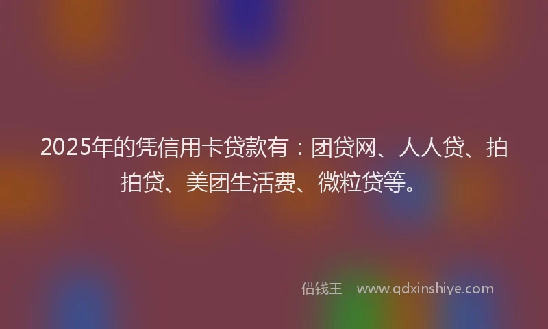 2025年的凭信用卡贷款有：团贷网、人人贷、拍拍贷、美团生活费、微粒贷等。