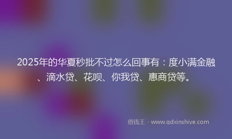 2025年的华夏秒批不过怎么回事有：度小满金融、滴水贷、花呗、你我贷、惠商贷等。