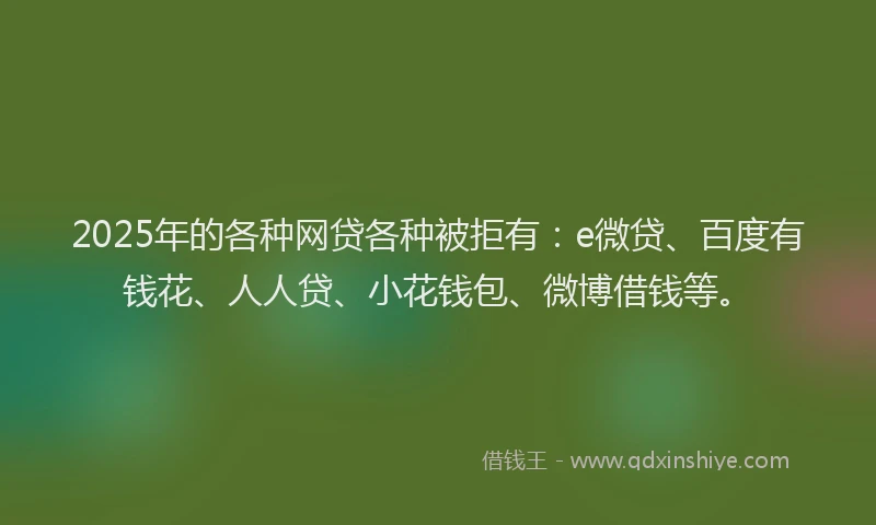 2025年的各种网贷各种被拒有：e微贷、百度有钱花、人人贷、小花钱包、微博借钱等。