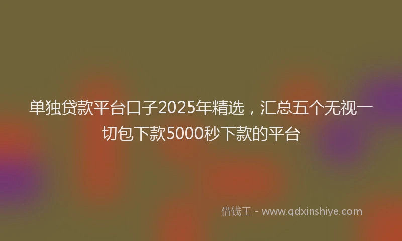 单独贷款平台口子2025年精选，汇总五个无视一切包下款5000秒下款的平台