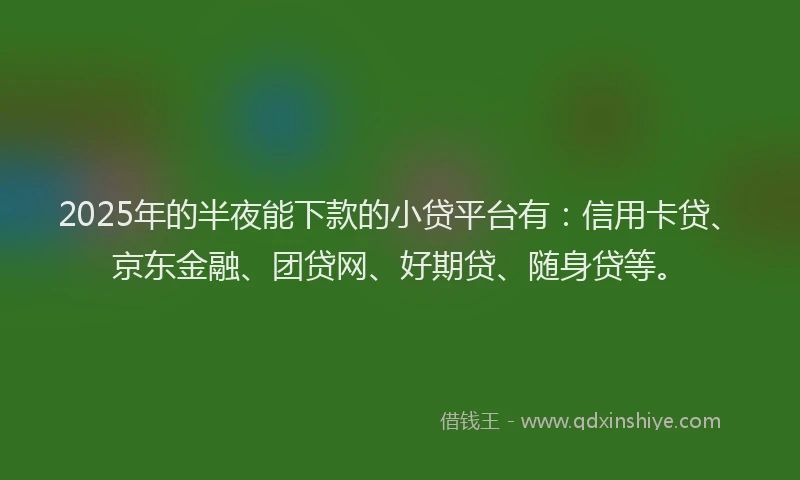 2025年的半夜能下款的小贷平台有：信用卡贷、京东金融、团贷网、好期贷、随身贷等。