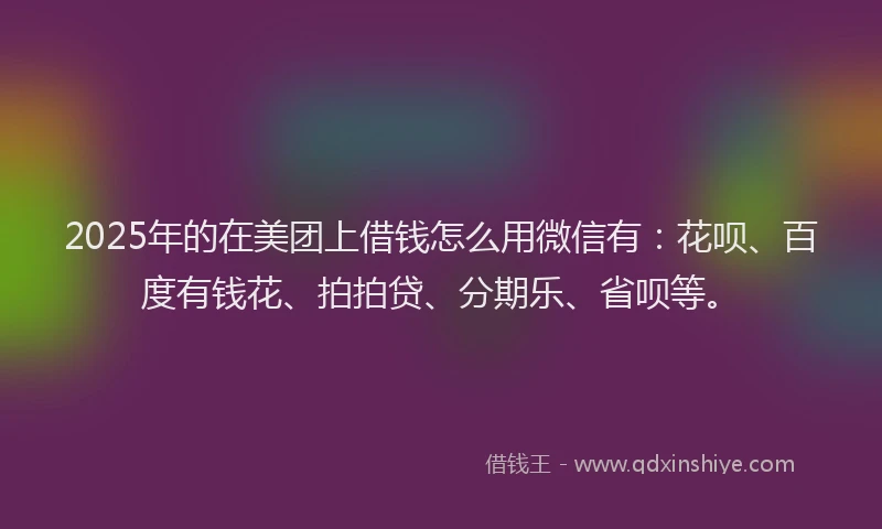 2025年的在美团上借钱怎么用微信有：花呗、百度有钱花、拍拍贷、分期乐、省呗等。