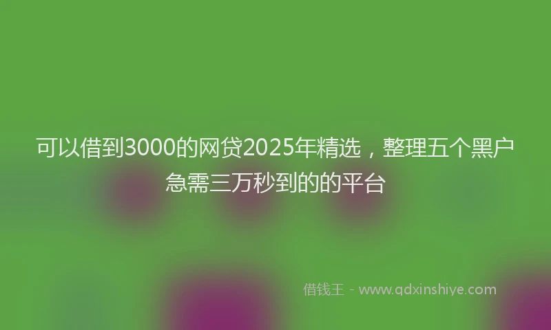 可以借到3000的网贷2025年精选，整理五个黑户急需三万秒到的的平台