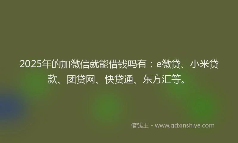 2025年的加微信就能借钱吗有：e微贷、小米贷款、团贷网、快贷通、东方汇等。