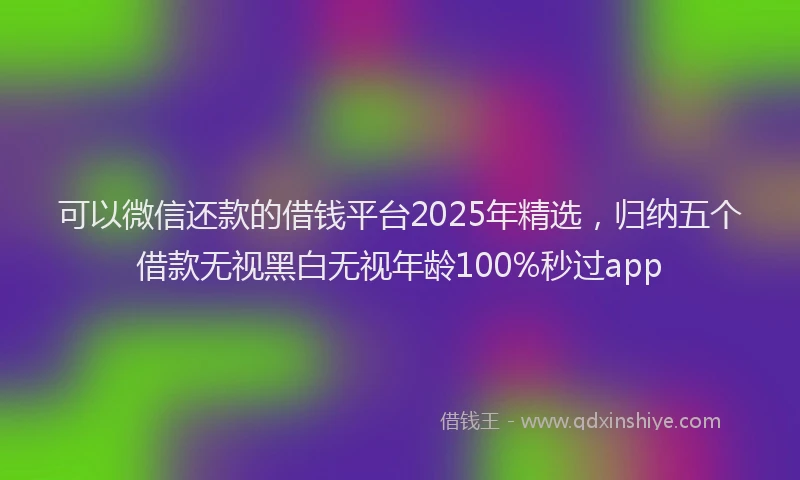 可以微信还款的借钱平台2025年精选，归纳五个借款无视黑白无视年龄100%秒过app