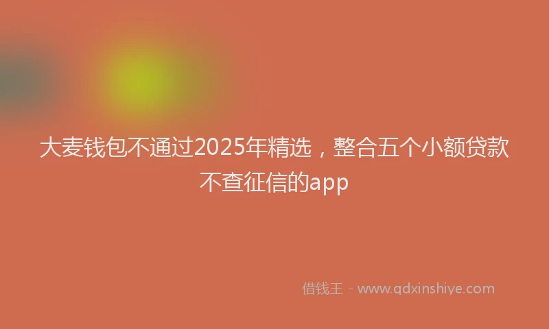 大麦钱包不通过2025年精选，整合五个小额贷款不查征信的app