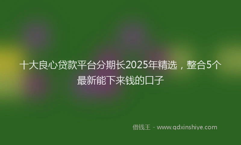 十大良心贷款平台分期长2025年精选，整合5个最新能下来钱的口子