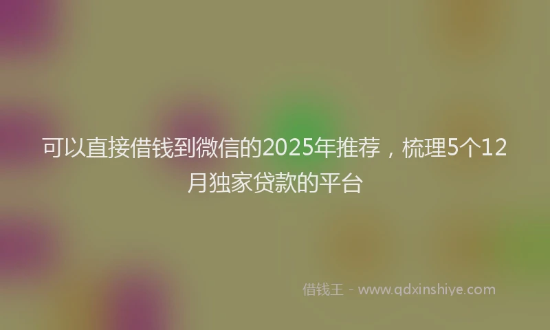 可以直接借钱到微信的2025年推荐，梳理5个12月独家贷款的平台