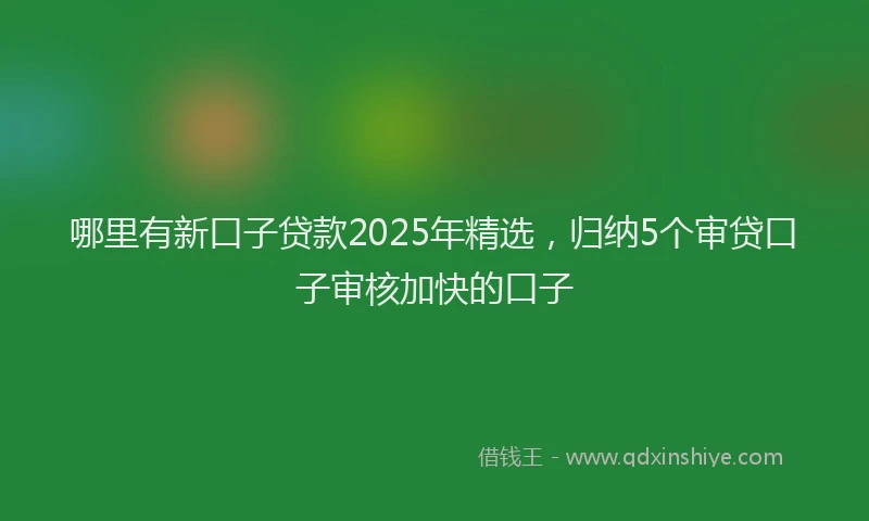 哪里有新口子贷款2025年精选，归纳5个审贷口子审核加快的口子