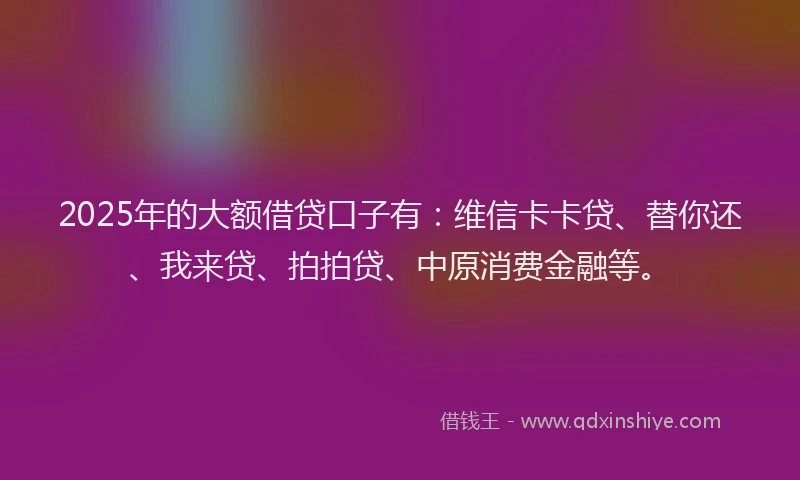 2025年的大额借贷口子有：维信卡卡贷、替你还、我来贷、拍拍贷、中原消费金融等。