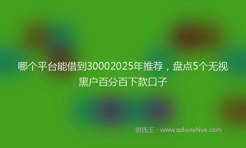 哪个平台能借到30002025年推荐，盘点5个无视黑户百分百下款口子