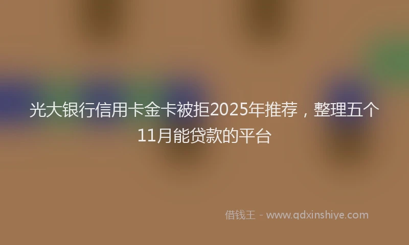 光大银行信用卡金卡被拒2025年推荐，整理五个11月能贷款的平台