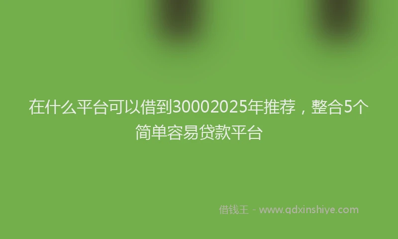 在什么平台可以借到30002025年推荐，整合5个简单容易贷款平台