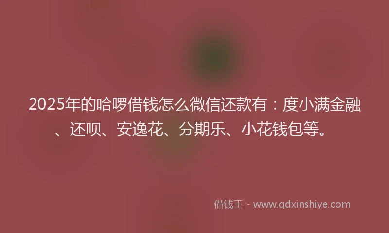 2025年的哈啰借钱怎么微信还款有：度小满金融、还呗、安逸花、分期乐、小花钱包等。