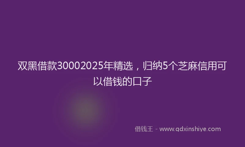 双黑借款30002025年精选，归纳5个芝麻信用可以借钱的口子