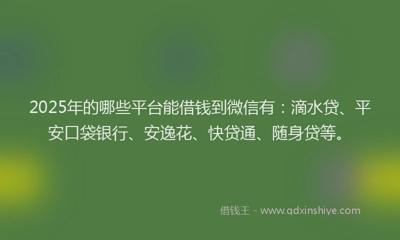 2025年的哪些平台能借钱到微信有：滴水贷、平安口袋银行、安逸花、快贷通、随身贷等。