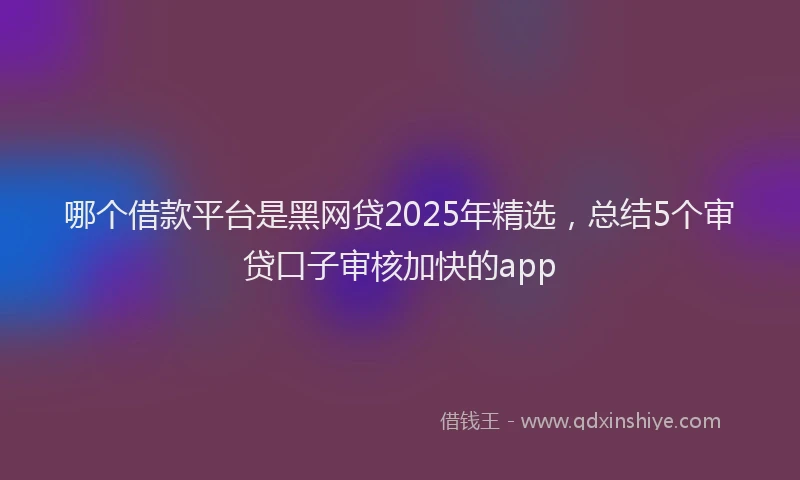 哪个借款平台是黑网贷2025年精选，总结5个审贷口子审核加快的app