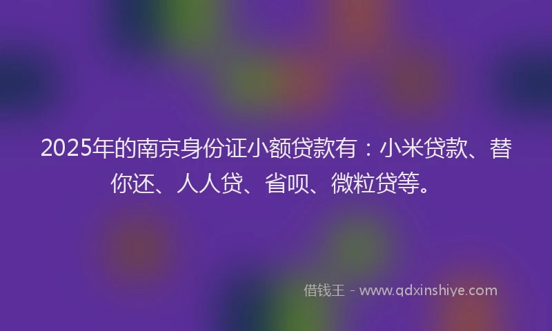 2025年的南京身份证小额贷款有：小米贷款、替你还、人人贷、省呗、微粒贷等。