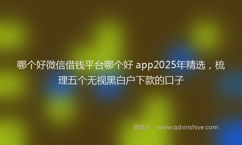 哪个好微信借钱平台哪个好 app2025年精选，梳理五个无视黑白户下款的口子