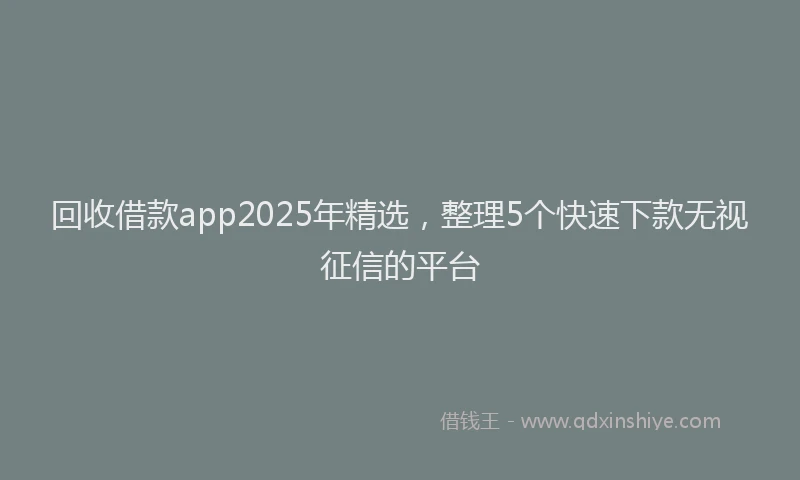 回收借款app2025年精选，整理5个快速下款无视征信的平台