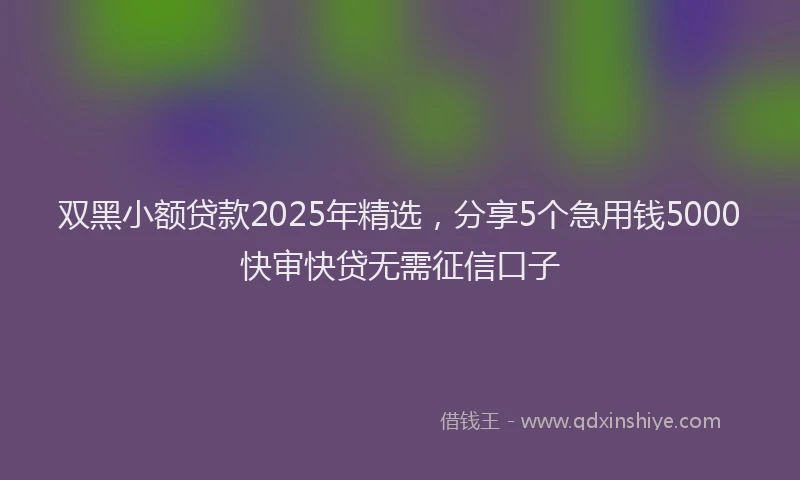 双黑小额贷款2025年精选，分享5个急用钱5000快审快贷无需征信口子