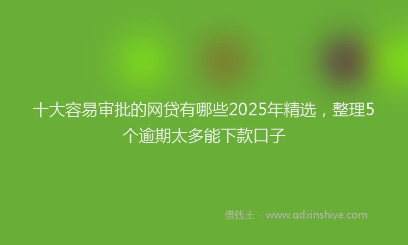 十大容易审批的网贷有哪些2025年精选，整理5个逾期太多能下款口子