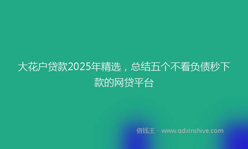 大花户贷款2025年精选，总结五个不看负债秒下款的网贷平台