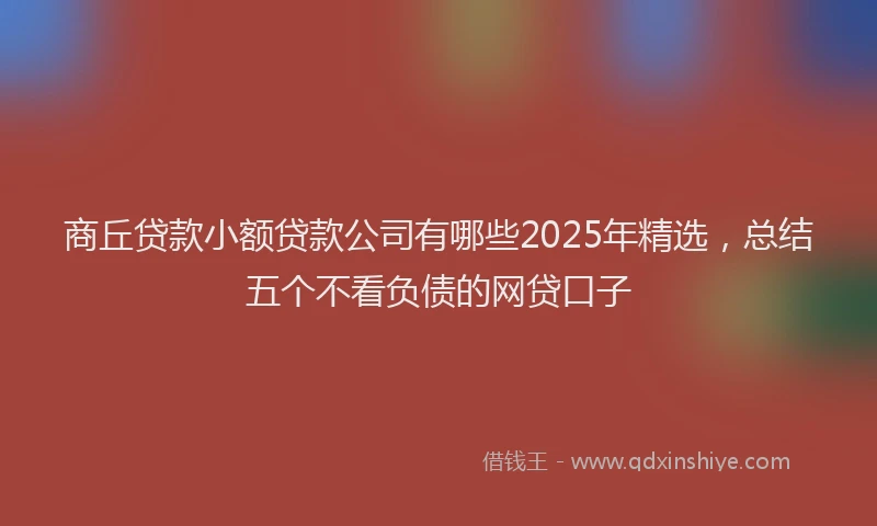 商丘贷款小额贷款公司有哪些2025年精选，总结五个不看负债的网贷口子