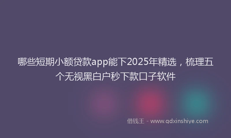 哪些短期小额贷款app能下2025年精选，梳理五个无视黑白户秒下款口子软件