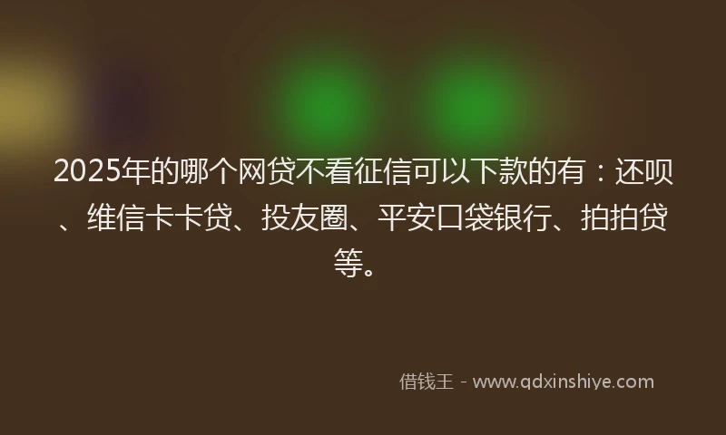 2025年的哪个网贷不看征信可以下款的有：还呗、维信卡卡贷、投友圈、平安口袋银行、拍拍贷等。