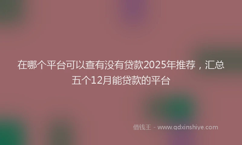 在哪个平台可以查有没有贷款2025年推荐，汇总五个12月能贷款的平台