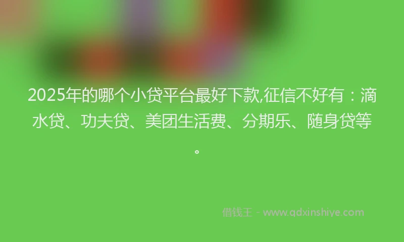 2025年的哪个小贷平台最好下款,征信不好有：滴水贷、功夫贷、美团生活费、分期乐、随身贷等。