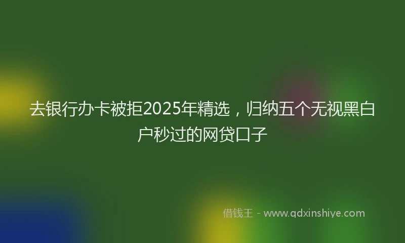 去银行办卡被拒2025年精选，归纳五个无视黑白户秒过的网贷口子