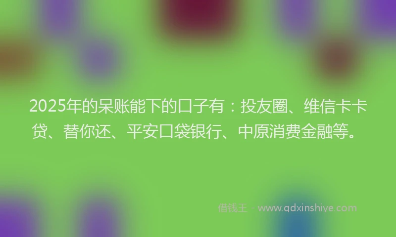 2025年的呆账能下的口子有：投友圈、维信卡卡贷、替你还、平安口袋银行、中原消费金融等。